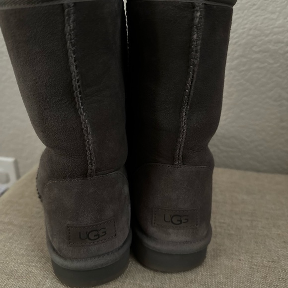 Grey Classic Short Suggs - Picture 9 of 11